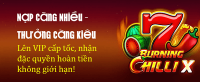 Chiến Thắng Lớn Cùng Tinbet247 banner
